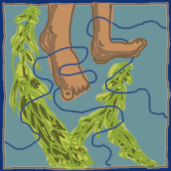 feet intertwined with kelp